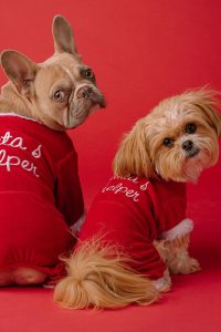 North Pole Pals Ensemble - Image 3