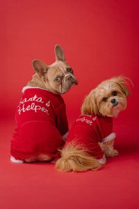 North Pole Pals Ensemble - Image 2