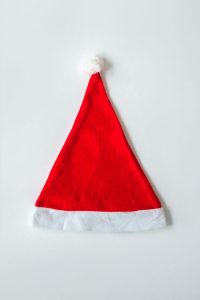 Holiday Hound & Human Harmony - Image 3
