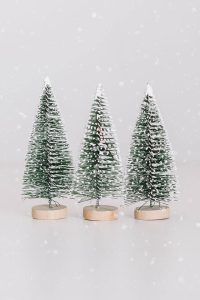 Enchanted Evergreens Collection - Image 2