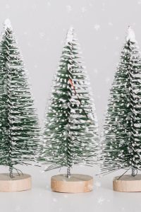 Enchanted Evergreens Collection - Image 3