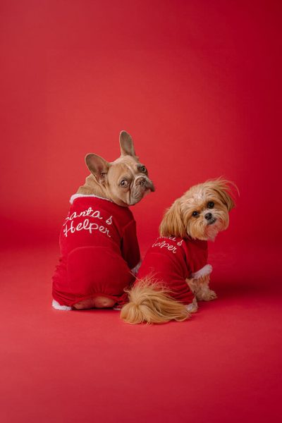 North Pole Pals Ensemble