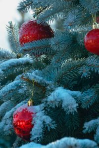 Candy Cane Lane Delights - Image 2